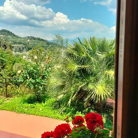 Casa Magnolia 公寓
